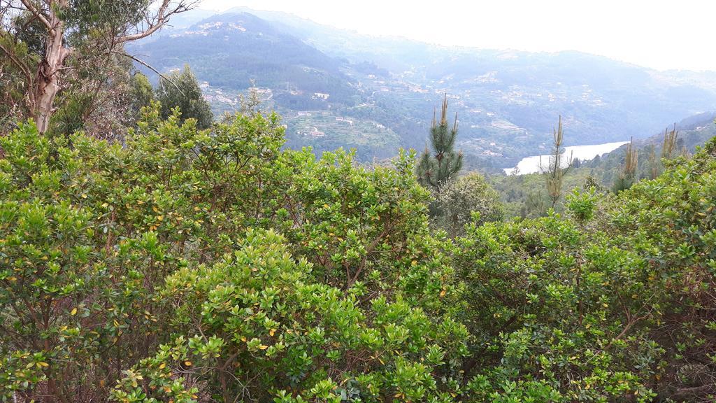 Casa Douro Terrace Villa ไบเยา ภายนอก รูปภาพ